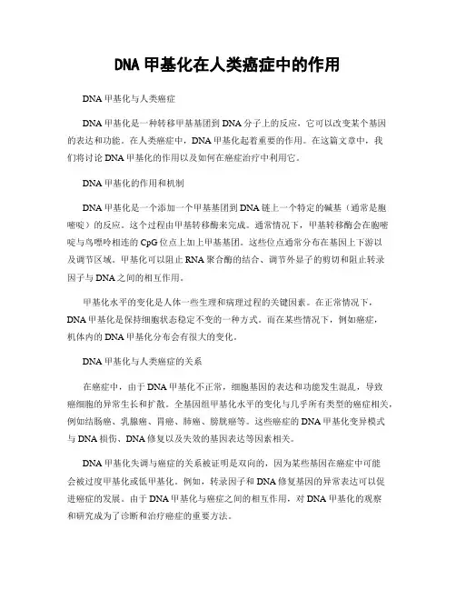 DNA甲基化在人类癌症中的作用