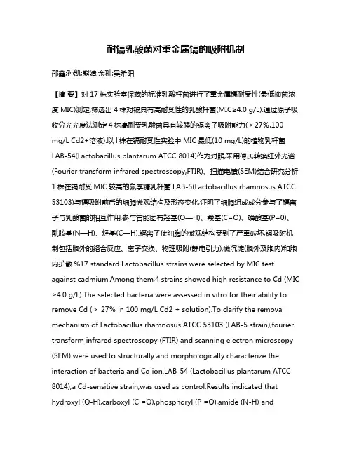 耐镉乳酸菌对重金属镉的吸附机制
