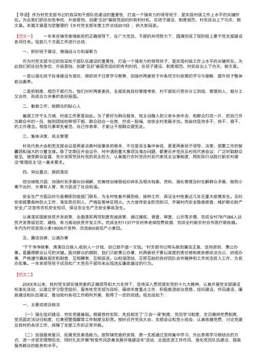 乡村党支部年度工作总结2019