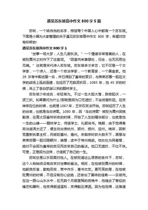 遇见苏东坡高中作文800字5篇