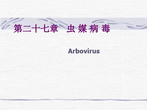 第十九章 虫 媒 病 毒