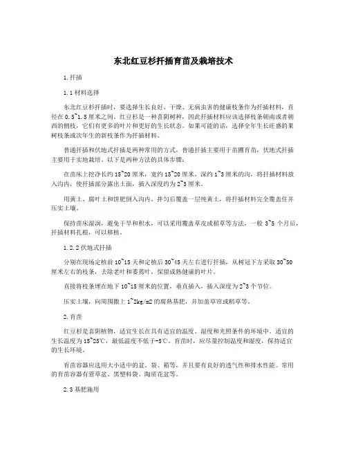 东北红豆杉扦插育苗及栽培技术