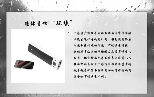 音响市场调查报告