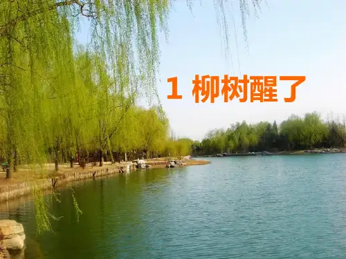 1柳树醒了kejian