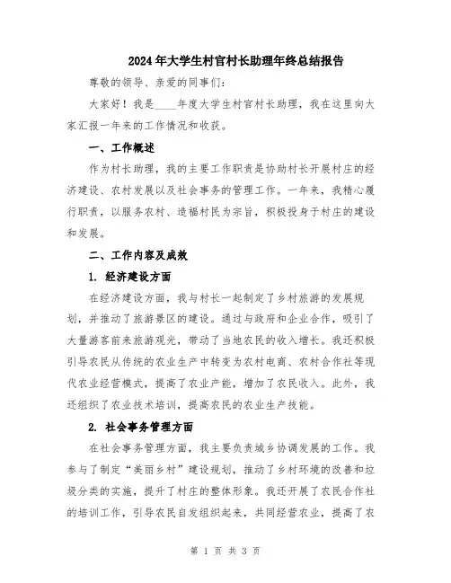 2024年大学生村官村长助理年终总结报告