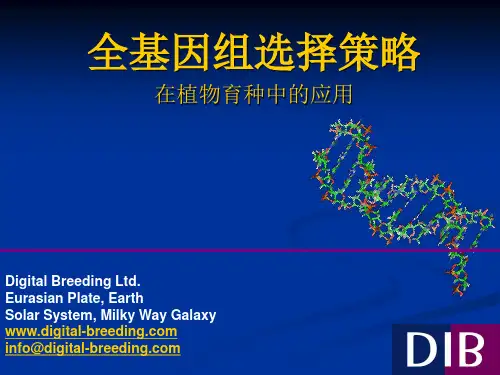 育种与全基因组选择