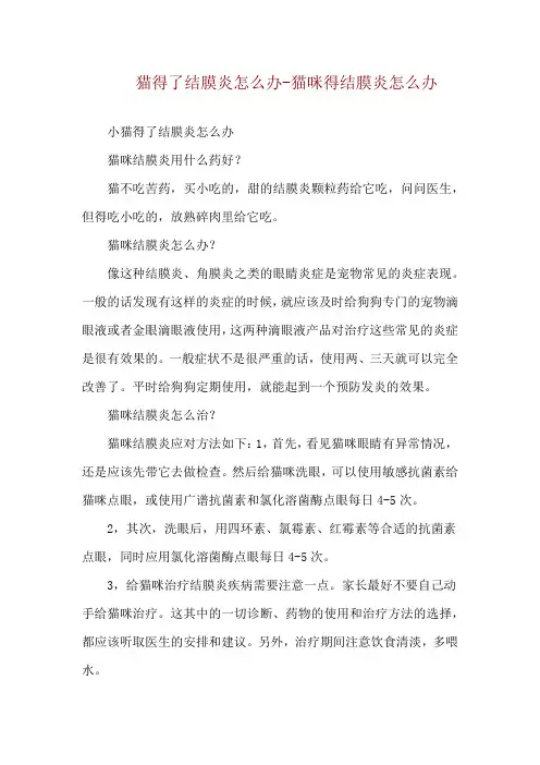 猫得了结膜炎怎么办-猫咪得结膜炎怎么办