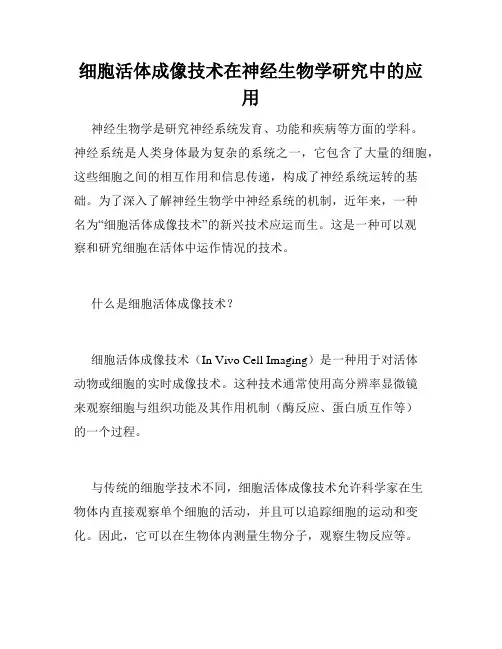 细胞活体成像技术在神经生物学研究中的应用
