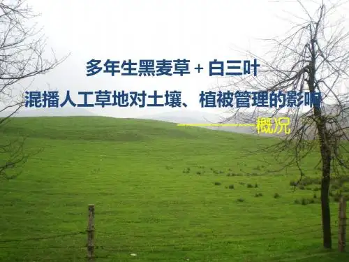 多年生黑麦草+白三叶 混播对人工草地土壤植被影响讲解