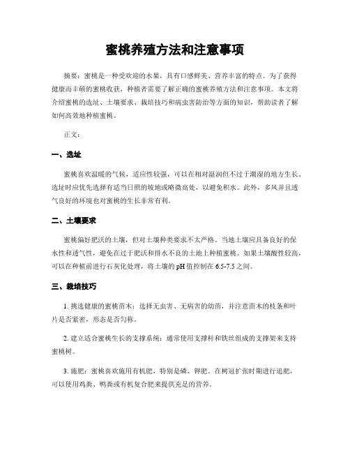 蜜桃养殖方法和注意事项