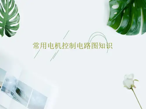 常用电机控制电路图知识PPT文档共33页