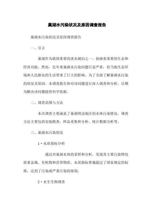 巢湖水污染状况及原因调查报告