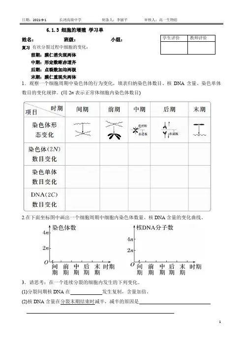 细胞的增殖第3课时导学案 高一上学期生物人教版必修1