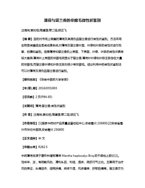 薄荷与留兰香的非腺毛微性状鉴别
