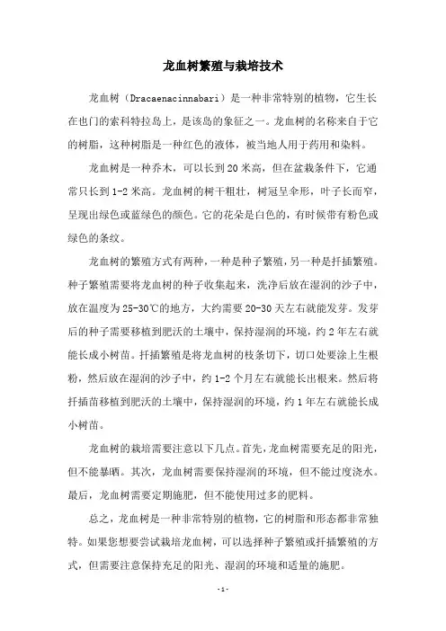 龙血树繁殖与栽培技术