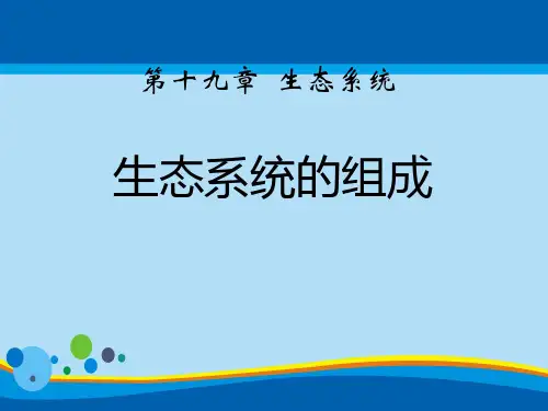 《生态系统的组成》PPT【精选推荐课件】