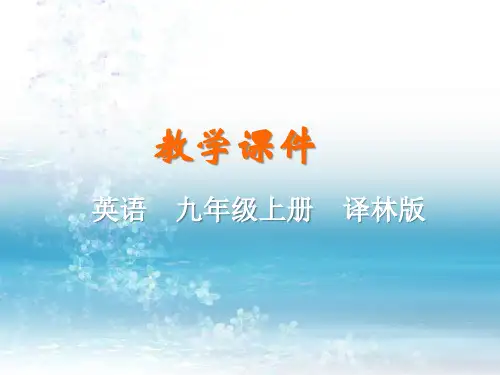 最新译林版初中英语九年级上册精品课件U5 Reading II