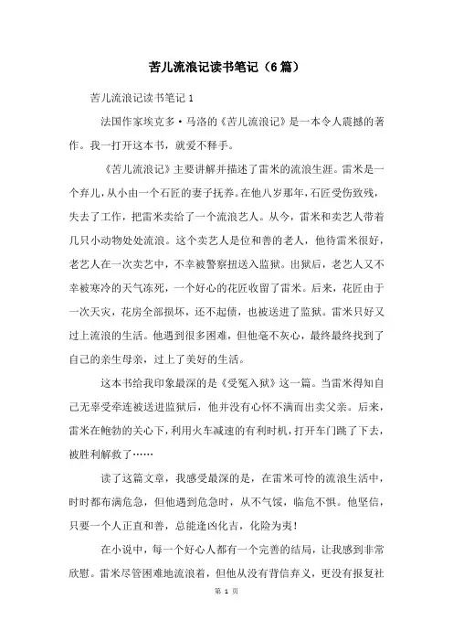 苦儿流浪记读书笔记(6篇)
