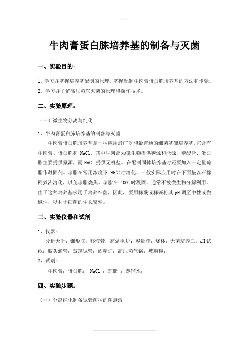 牛肉膏蛋白胨培养基的制备与灭菌