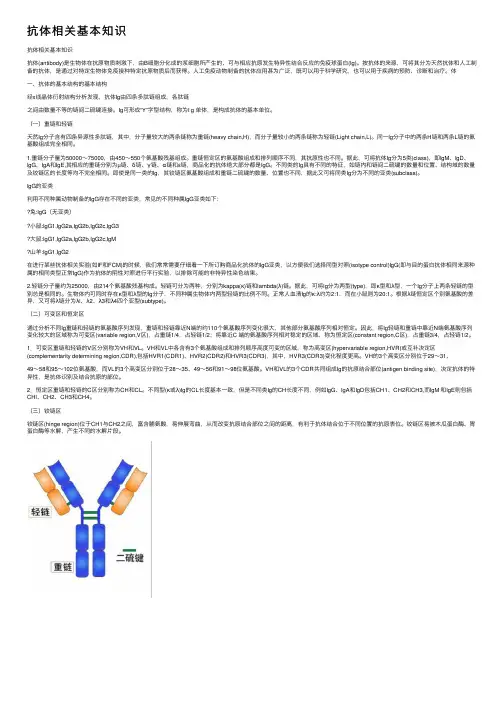 抗体相关基本知识