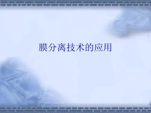 膜分离技术的应用PPT课件