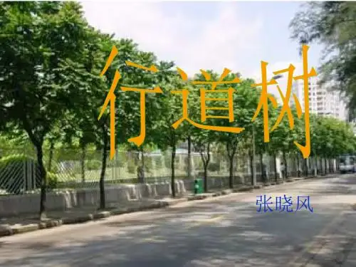 行道树ppt124 人教版