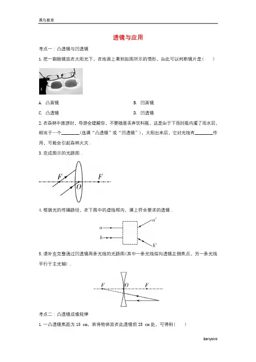 2020年中考物理总复习专题训练透镜与应用含解析