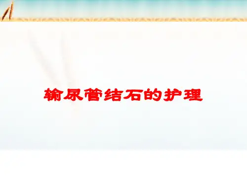 输尿管结石的护理培训课件