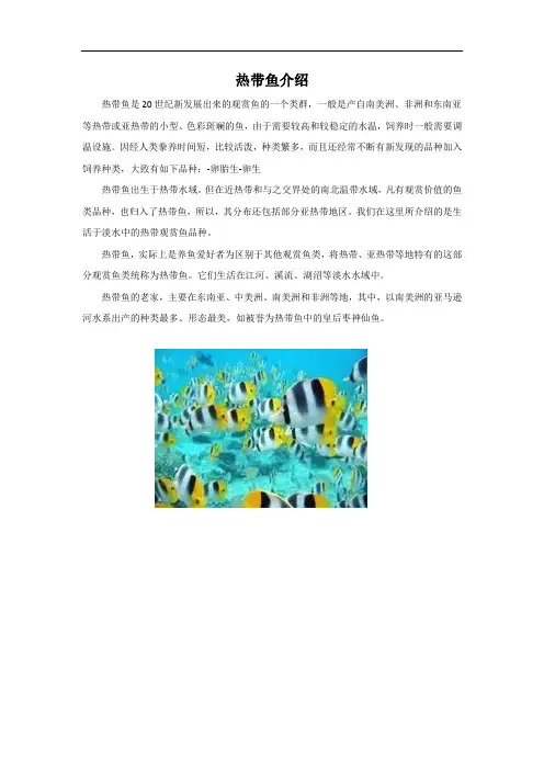 热带鱼介绍-1