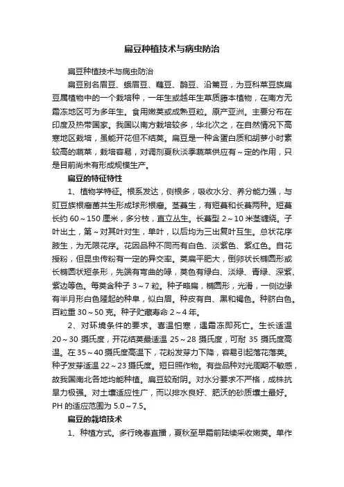 扁豆种植技术与病虫防治