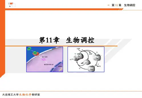 第11章 生物调控