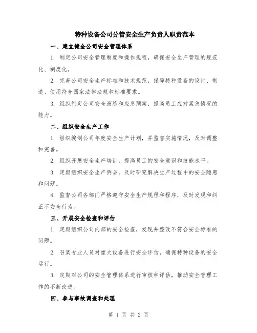 特种设备公司分管安全生产负责人职责范本