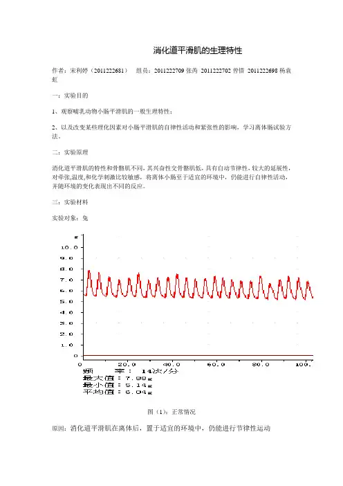 离体小肠平滑肌的生理性及药物作用的观察