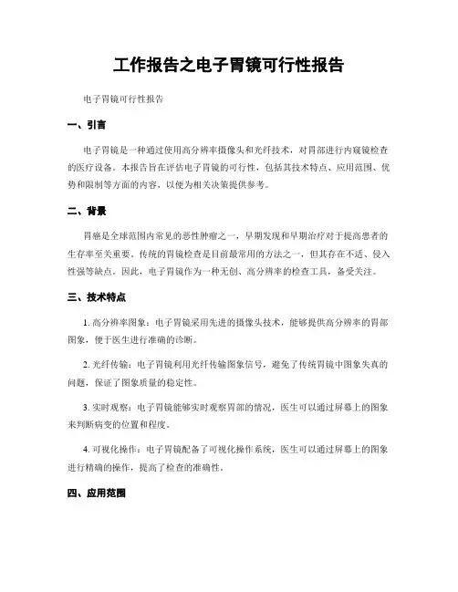 工作报告之电子胃镜可行性报告