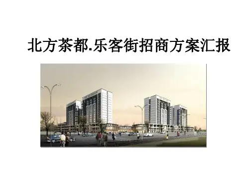 茶叶专营街招商方案汇报招商方案设计