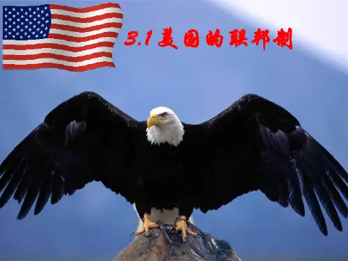 美国的联邦制最新PPT