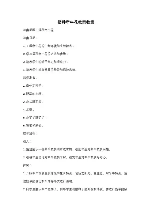 播种牵牛花教案教案