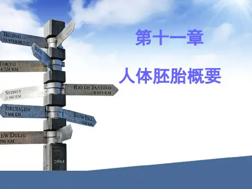 第十一章  胚胎发育