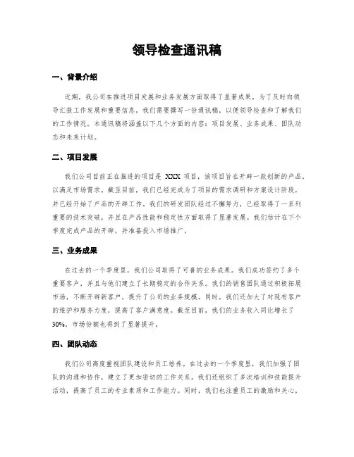 领导检查通讯稿