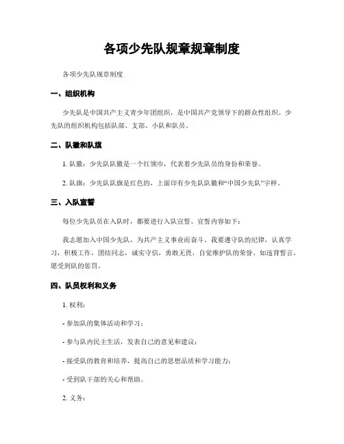 各项少先队规章规章制度
