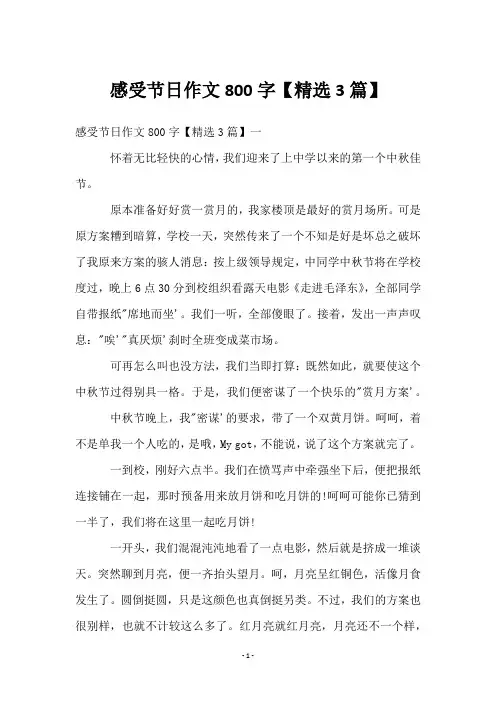 感受节日作文800字【精选3篇】