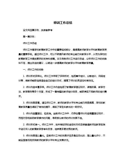 师训工作总结