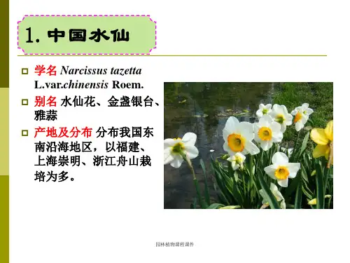 园林植物课程课件