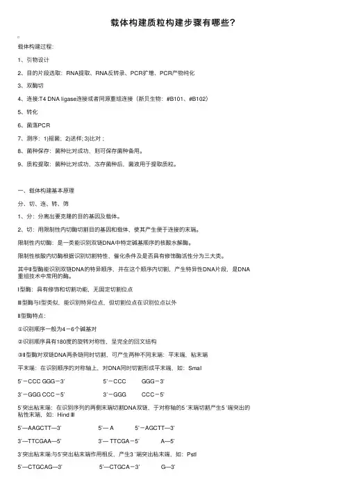 载体构建质粒构建步骤有哪些？