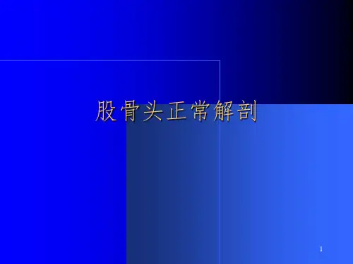 股骨头病变的影像诊断课堂PPT
