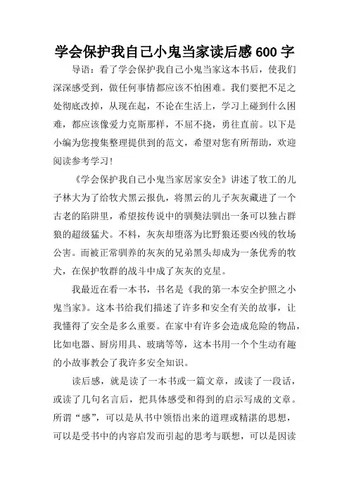 学会保护我自己小鬼当家读后感600字