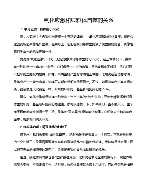 氧化应激和线粒体自噬的关系