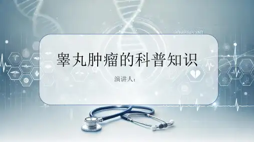 睾丸肿瘤的科普知识PPT课件
