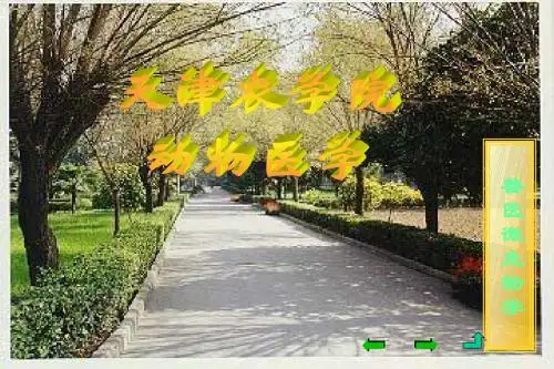 兽医微生物学课件(24)
