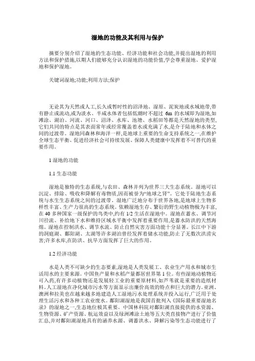 湿地的功能及其利用与保护